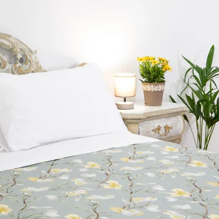 Apartment M&c Vicolo Stretto Sulmona
